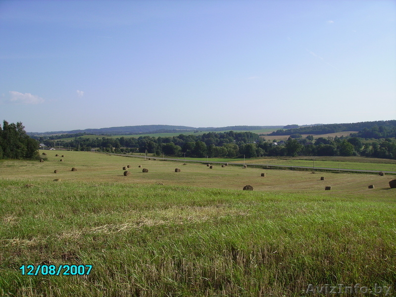 Продаю дачный участок 7 соток 45 км от МКАД логойский р-н Мядельское напр. - Изображение #3, Объявление #208734