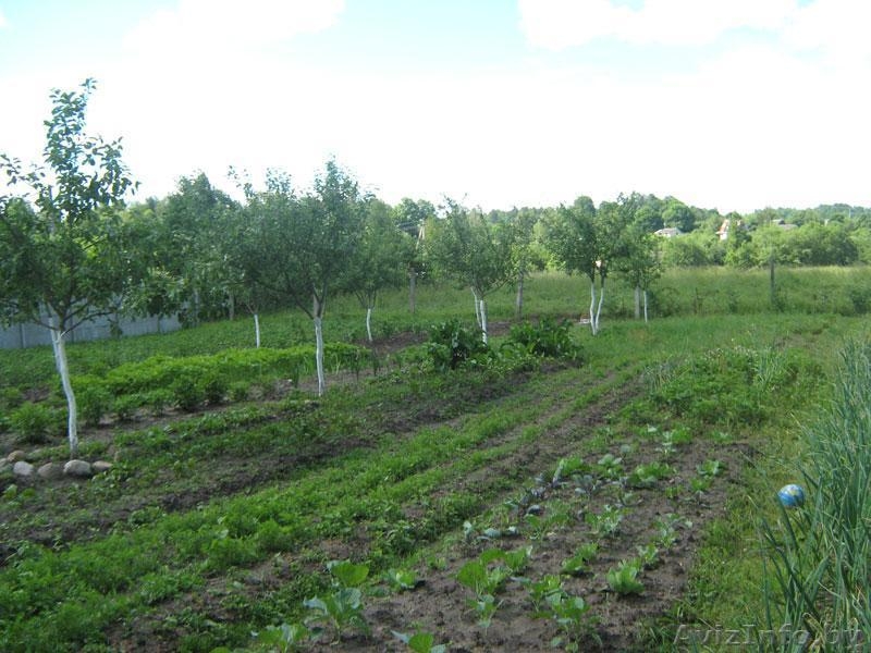 Усадьба Минск 20 км от МКАД Живописное место! Вековые сосны на территории. - Изображение #9, Объявление #205230