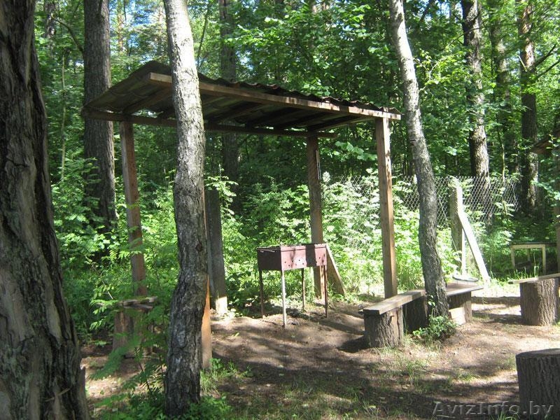 Усадьба Минск 20 км от МКАД Живописное место! Вековые сосны на территории. - Изображение #10, Объявление #205230