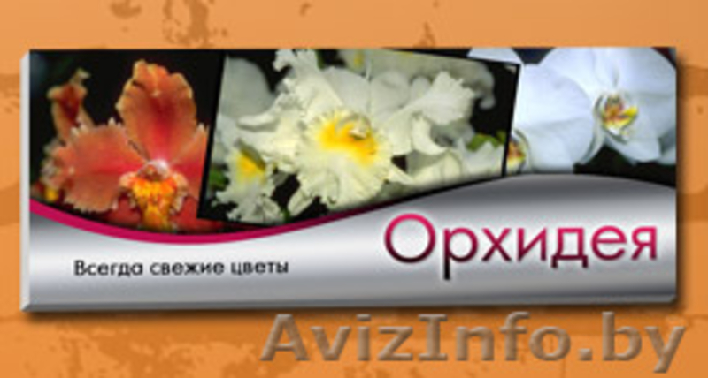 Наружная и интерьерная реклама для Вашего бизнеса - Изображение #2, Объявление #186312