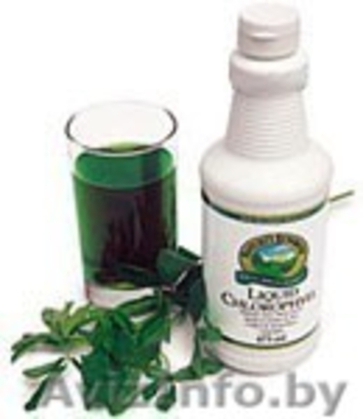 Натуральные продукты для здоровья и красоты - Изображение #6, Объявление #237497