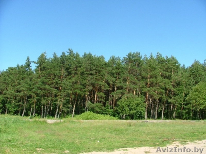 продаю земельный участок  - Изображение #3, Объявление #223919