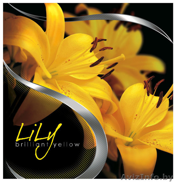 пакеты с пластиковыми ручками  компании MiF - Изображение #1, Объявление #225036