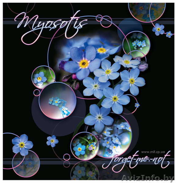 пакеты с пластиковыми ручками  компании MiF - Изображение #6, Объявление #225036