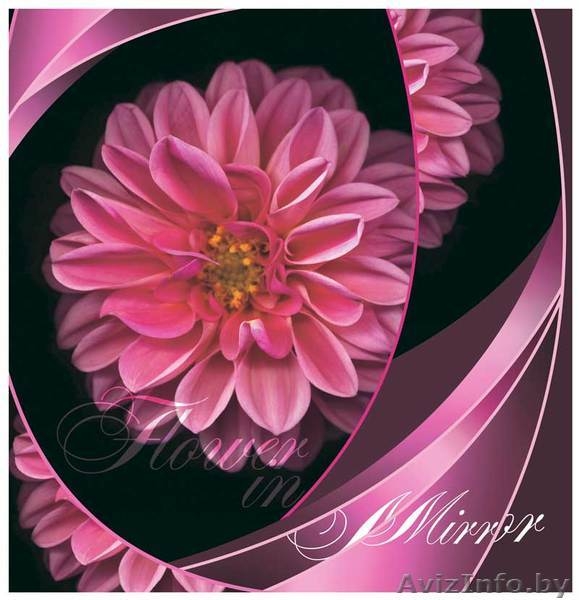 пакеты с пластиковыми ручками  компании MiF - Изображение #4, Объявление #225036