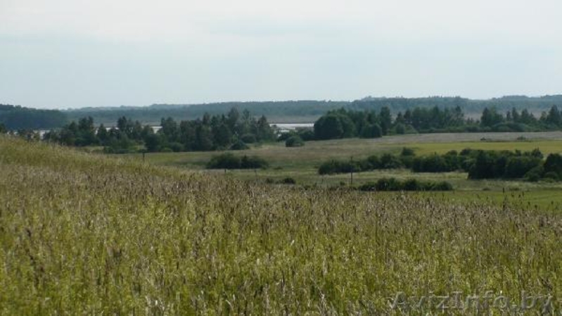 небольшой деревянный дом в Литве  - Изображение #5, Объявление #265655