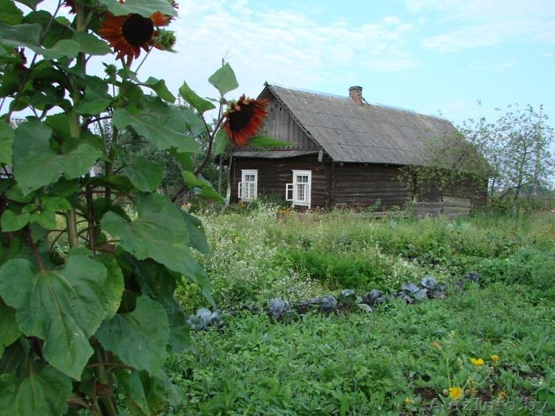 Дом в Хотлянах (55 км) - Изображение #5, Объявление #178159