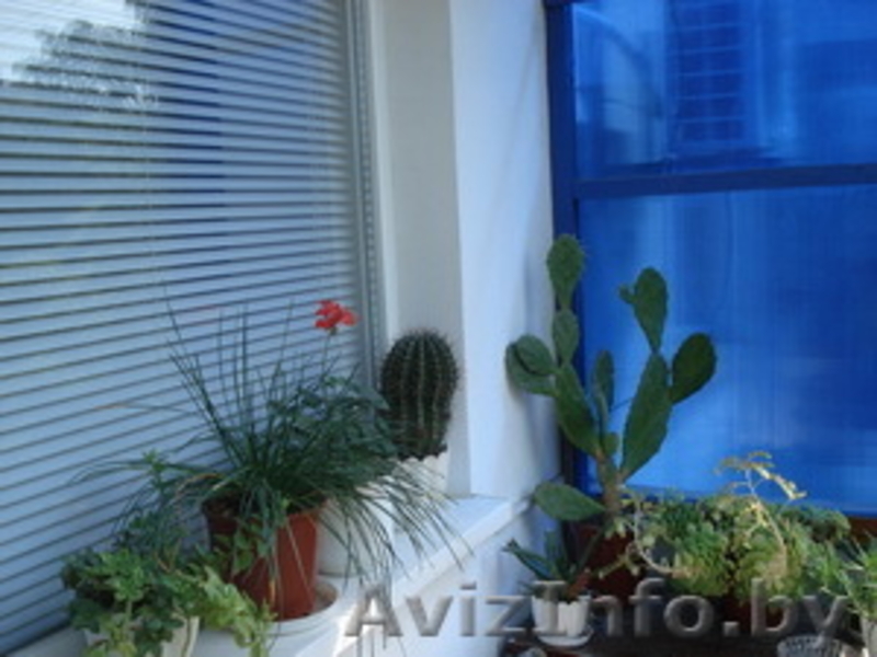 Сдам квартиру в Евпатории до моря 500 меторов! - Изображение #8, Объявление #290823