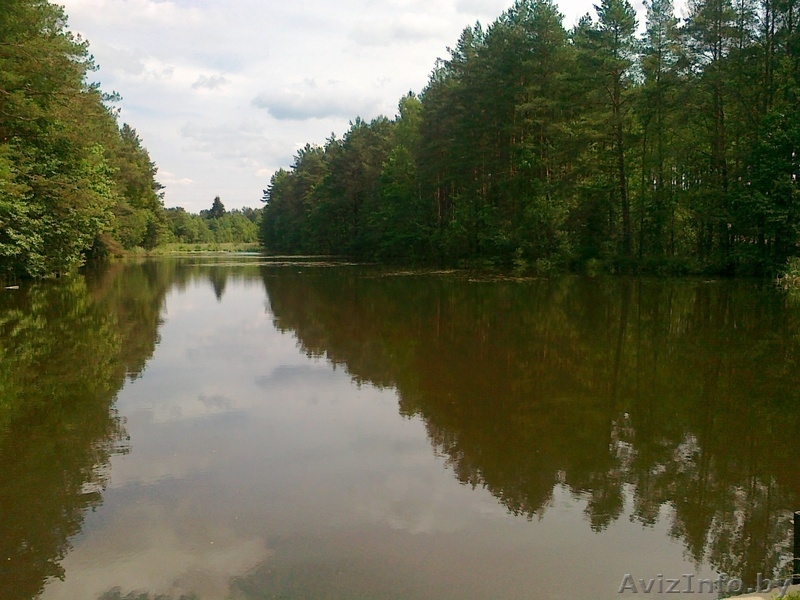 д.Добренево 35км по Логойскому направлению - Изображение #1, Объявление #185305