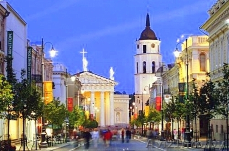 Вид на жительство в Литве. Регистрация фирм в Литве. - Изображение #3, Объявление #285500