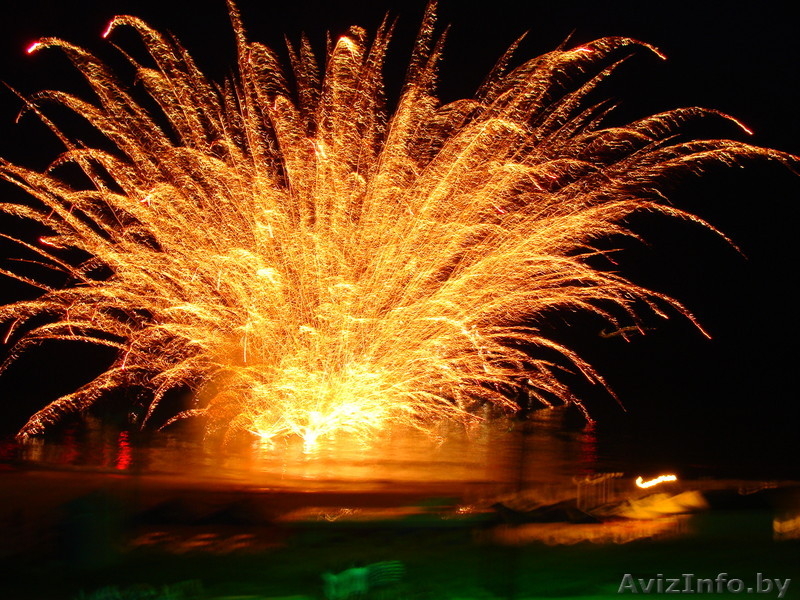 ООО  \"Белый Тигр\" - Изображение #2, Объявление #281746