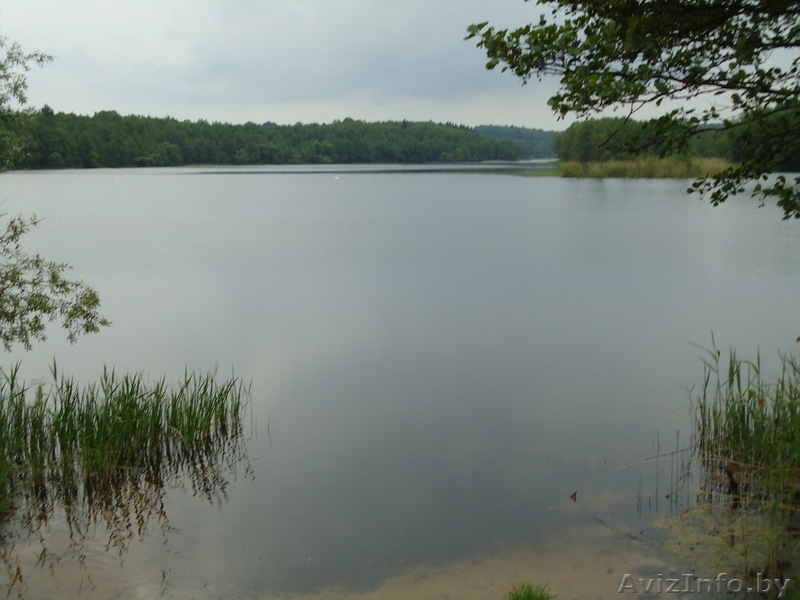 Продаю уютный дом на озере - Изображение #4, Объявление #308990