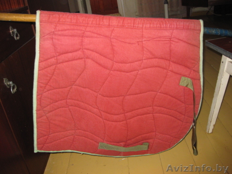 вольтрап, подпруга - Изображение #1, Объявление #288491