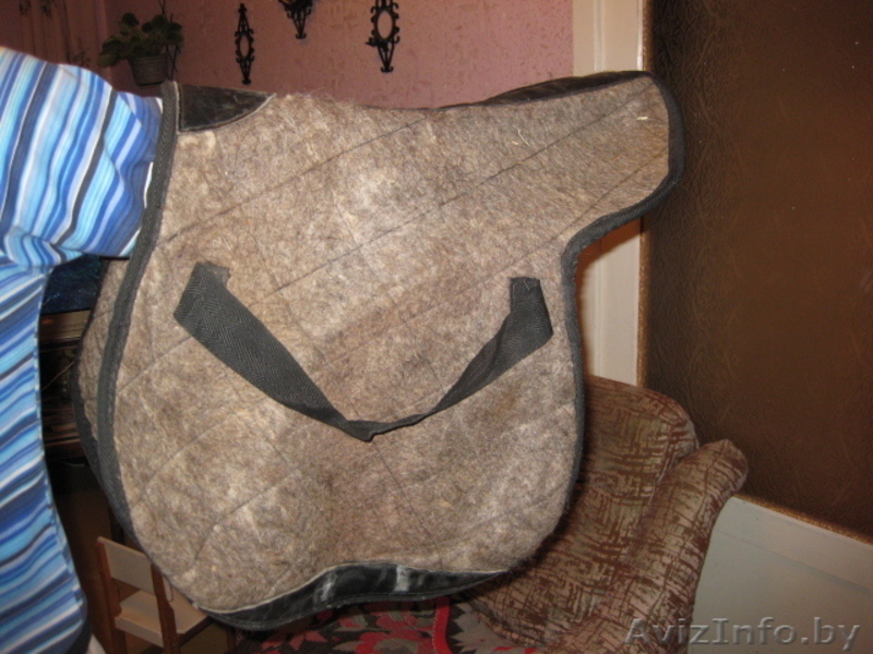 вольтрап, подпруга - Изображение #5, Объявление #288491