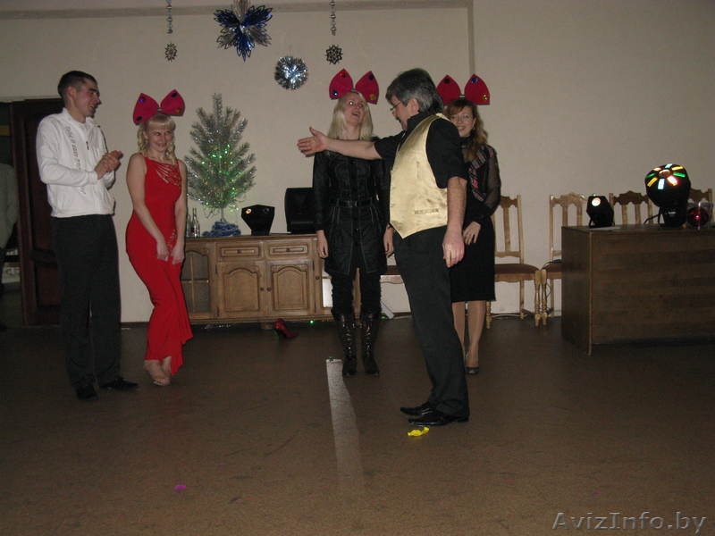 Профессиональный ведущий(тамада) - Изображение #2, Объявление #296913