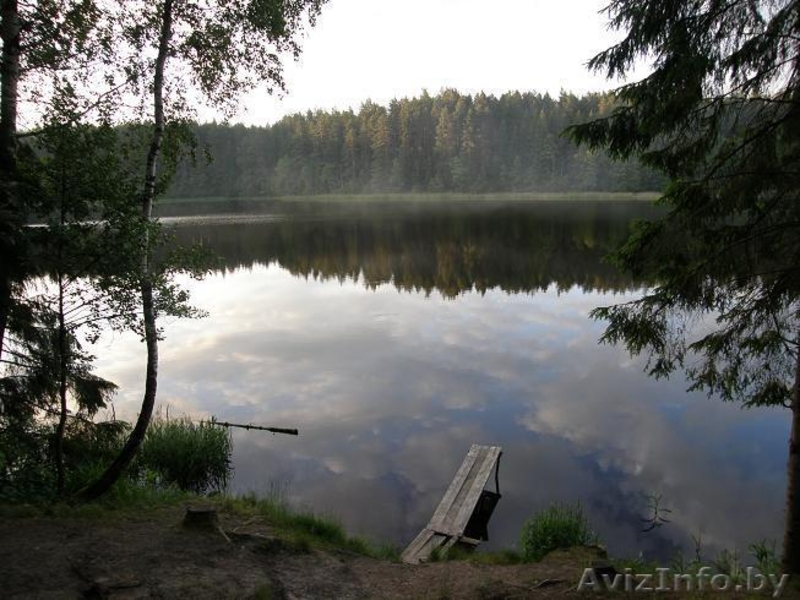 Продаю УНИКАЛЬНЫЙ обособленный участок  В ЛЕСУ на берегу  реки рядом с озёрами. - Изображение #9, Объявление #298969