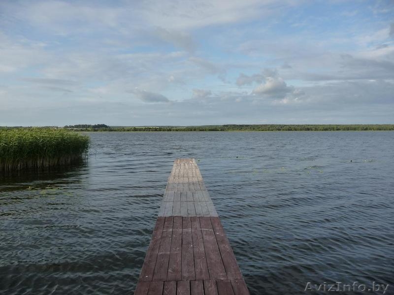 Дом на берегу большого живописного озера СВИРЬ, Нарочанский край. - Изображение #3, Объявление #306826