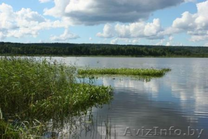 Отдых в заповеднике - Изображение #3, Объявление #286840