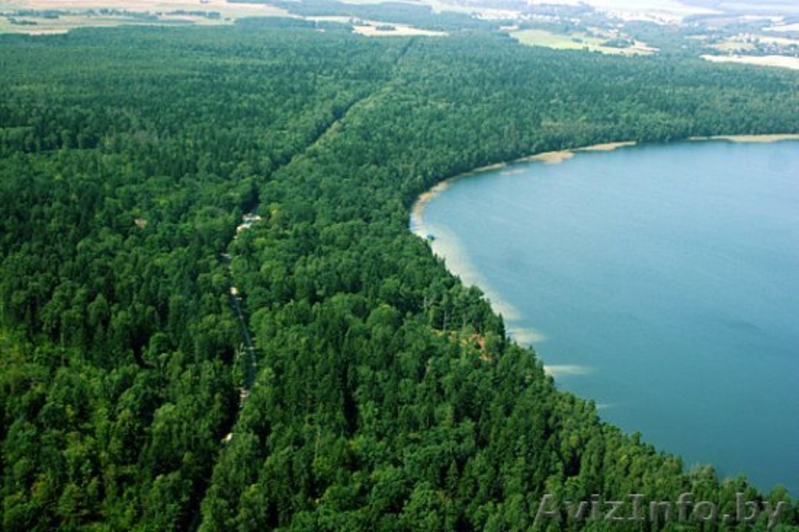 Продается Усадьба "Свитязянка" (НЕ АГЕНТСТВО) 130000 у.е торг! МНОГО ФОТО!  - Изображение #3, Объявление #310218