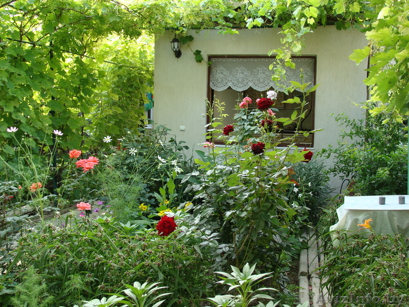 Частный мини-пансионт зовет на отдых!! - Изображение #2, Объявление #314336