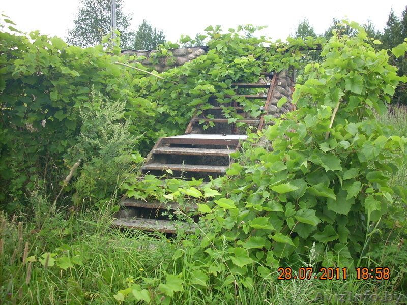 Земельный участок c недостроенными постройками - Изображение #3, Объявление #336777