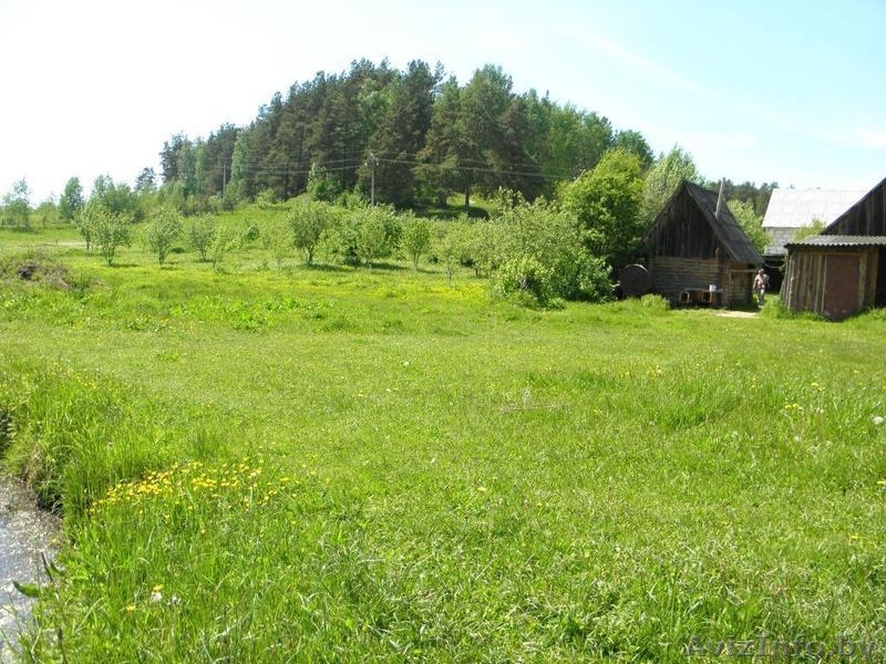 Дача Гп. Радошковичи 25км от МКАД - Изображение #5, Объявление #312106