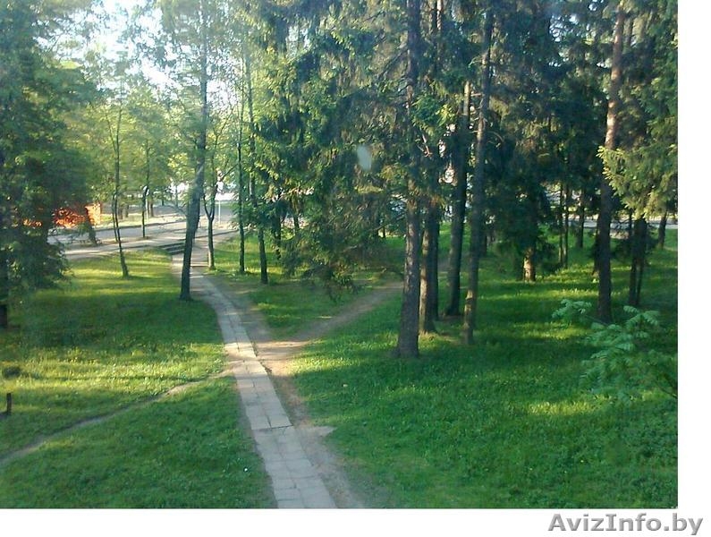 3-комн.  63/35/7,8. Чистая продажа - Изображение #3, Объявление #321739