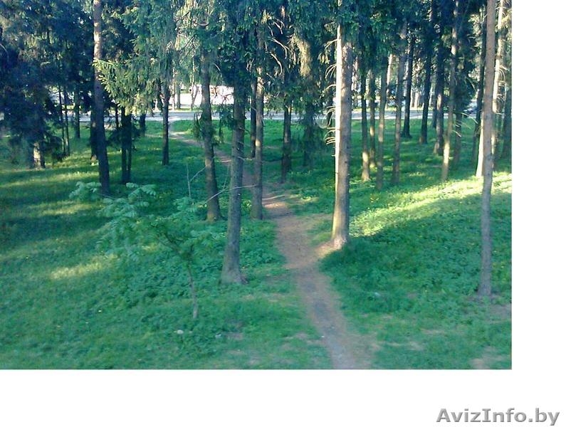 3-комн.  63/35/7,8. Чистая продажа - Изображение #5, Объявление #321739