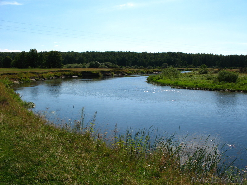 Дача -  Свислочь,рыбалка - Изображение #1, Объявление #329652