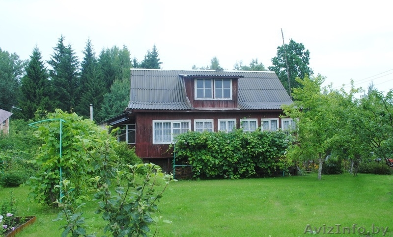 дача в брестском направлении - Изображение #1, Объявление #327249