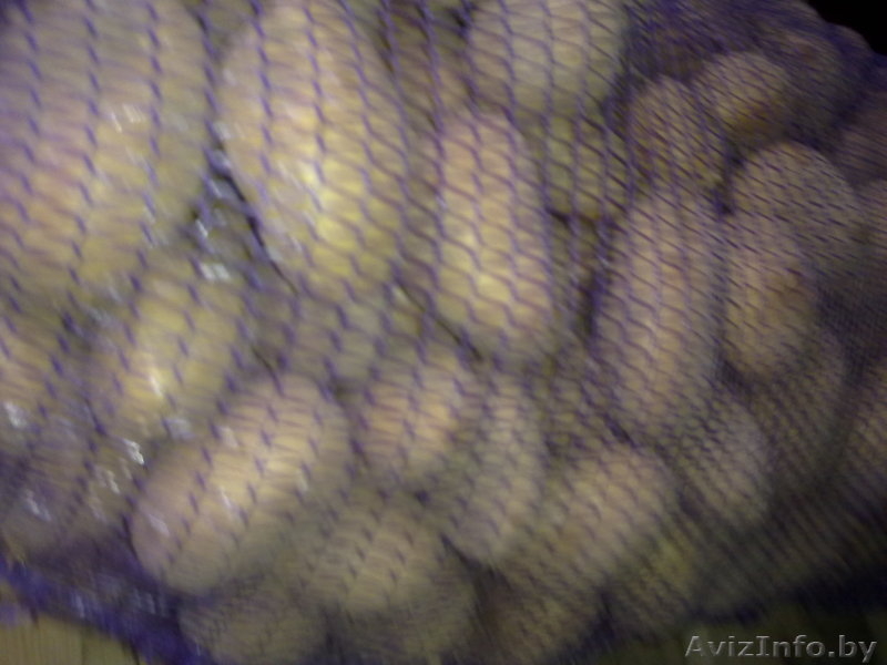  ЕВРОКОНТЕЙНЕР.ИЗГОТОВИМ ЕВРОКОНТЕЙНЕР ПЛОДОВООВОЩНОЙ . - Изображение #5, Объявление #106605