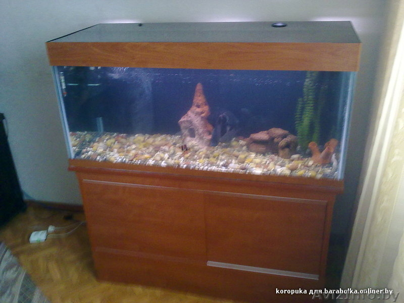 Аквариум недорого! - Изображение #1, Объявление #362032
