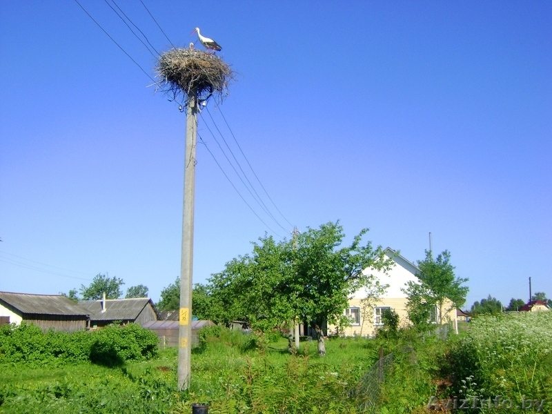 дом в Крулевщине - Изображение #3, Объявление #345590