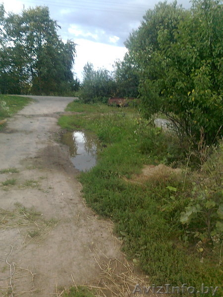 Тимошенко Денис Викторович,estet50@yandex.ru?+375296870354. - Изображение #6, Объявление #351046