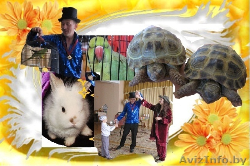 Организация самых веселых детских праздников - Изображение #3, Объявление #339593