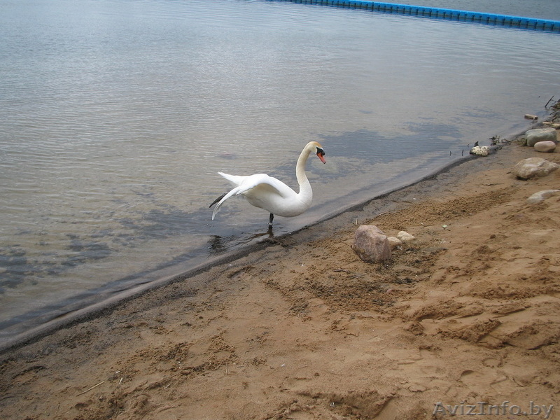 Canon PC1108 (Made in Japan) 5mpx  - Изображение #6, Объявление #356288