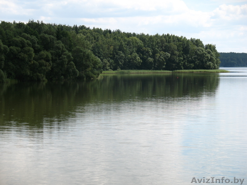 Долгосрочная аренда уютного загородного дома - Изображение #3, Объявление #354416