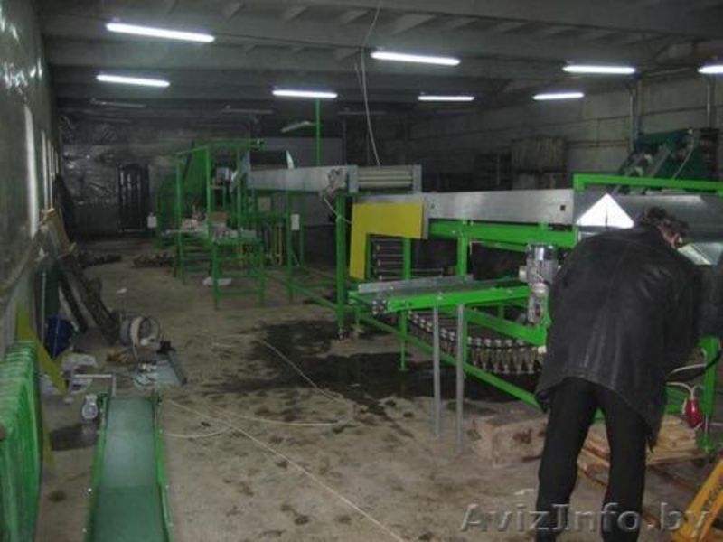 оборудование-линия для переработки-мойки-сортировки-калибровки-фасовки овощей - Изображение #4, Объявление #353522