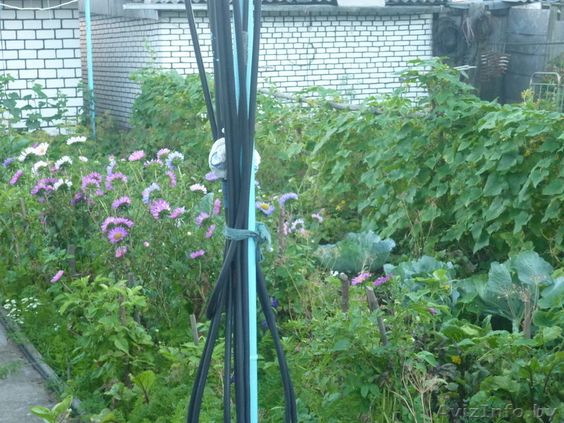 Огромные 1/2 дома (г.Борисов)!Без Торга! - Изображение #9, Объявление #310211