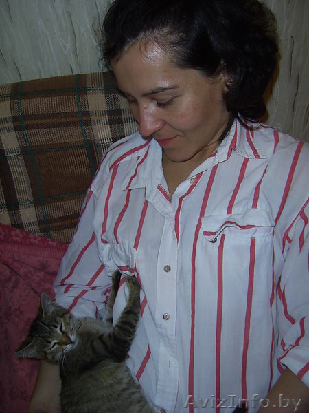 Самый ласковый и мурчащий котенок в дар  - Изображение #1, Объявление #347262