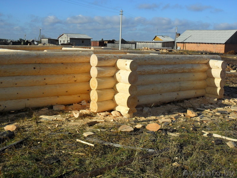 Дачи дома(срубы) - Изображение #2, Объявление #365808