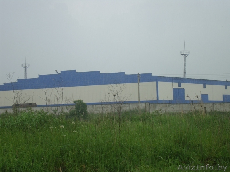 Предлагаются в аренду помещения (общая площадь 2300 м.кв) с ж/д веткой - Изображение #3, Объявление #340065