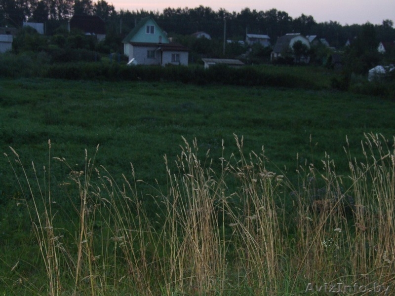 Хороший участок  рядом с с Фаниполем, рядом озеро, лес, электричка. - Изображение #1, Объявление #375586