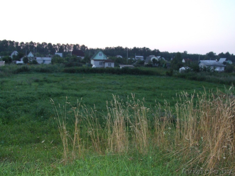 Хороший участок  рядом с с Фаниполем, рядом озеро, лес, электричка. - Изображение #2, Объявление #375586