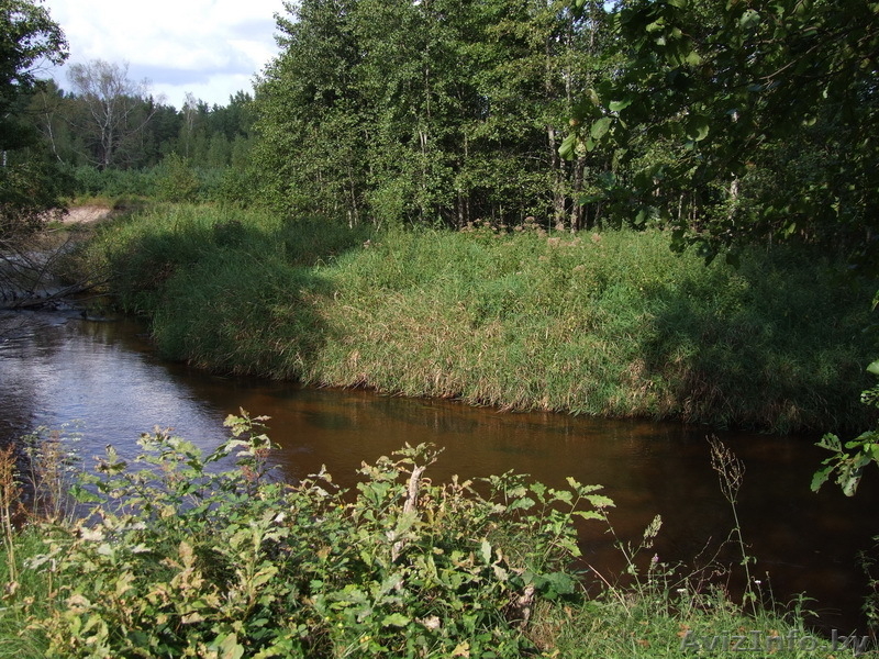 Налибокская пуша, центр, хутор, для отдыха и экотуризма. - Изображение #4, Объявление #375590