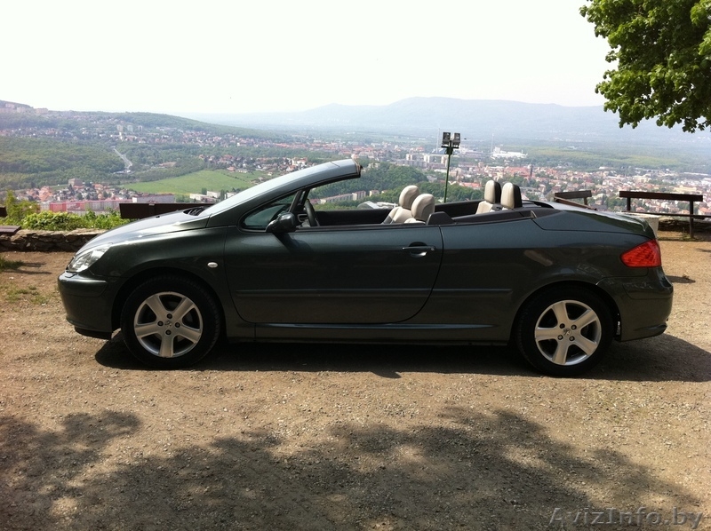 Аренда автомобилей в Чехии - Изображение #4, Объявление #374053