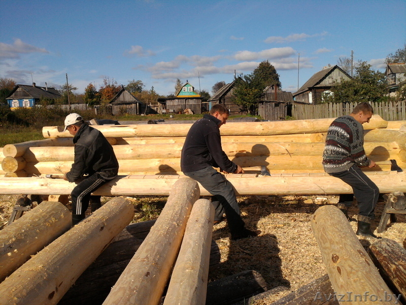 Срубы домов, бань из сосны и осины. - Изображение #1, Объявление #238542