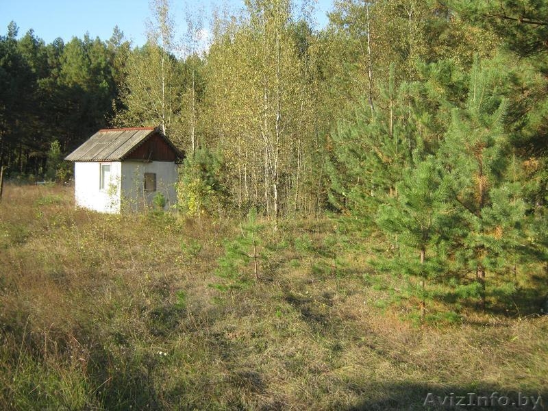 Участок на Припяти - Изображение #1, Объявление #36118