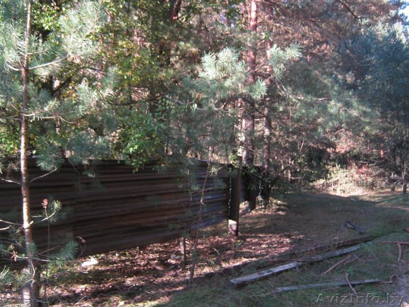 Участок на Припяти - Изображение #2, Объявление #36118