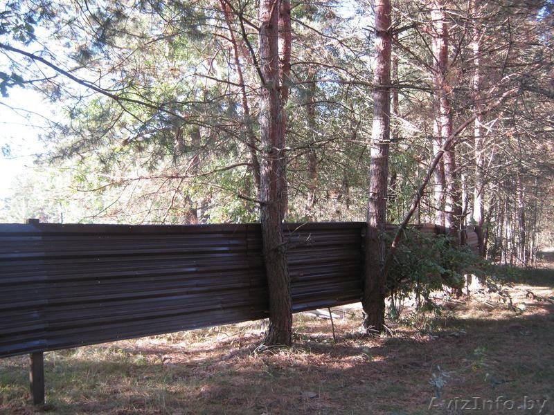 Участок на Припяти - Изображение #3, Объявление #36118